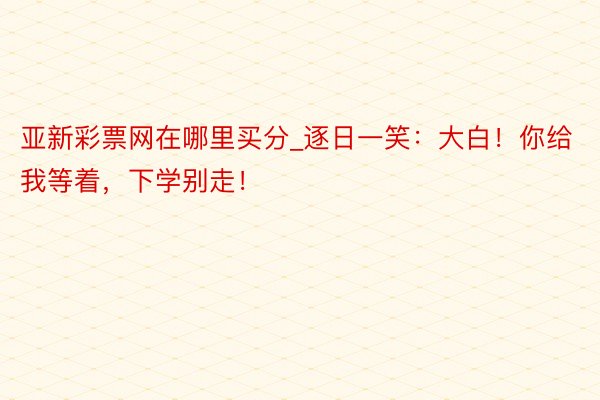 亚新彩票网在哪里买分_逐日一笑：大白！你给我等着，下学别走！