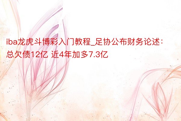 iba龙虎斗博彩入门教程_足协公布财务论述：总欠债12亿 近4年加多7.3亿